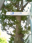 68204817.jpeg
