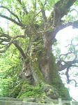 Image0839.jpg