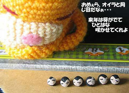 おめぇらいいなぁ、来年は違う形になるんだよなぁ