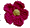 k41.gif