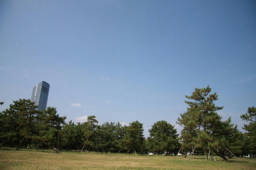 148.JPG