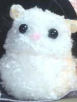 m004.jpg