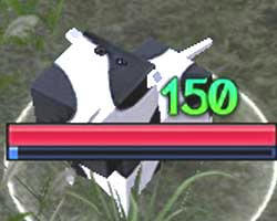 334.jpg