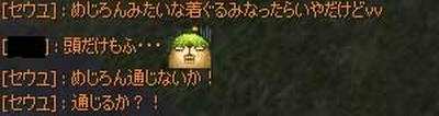455.jpg
