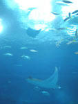 2009090901.jpg