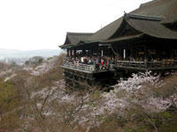 2010040601.jpg