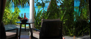 20110228ju-Dhevanafushi1.jpg