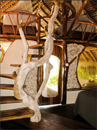 20110318ninamu3.jpg