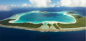 20110329brando1.jpg