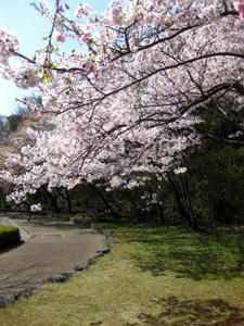 2011041001.jpg