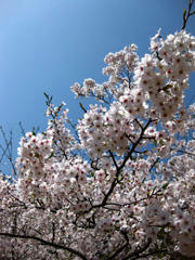 2011041501.jpg