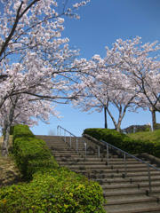 2011041502.jpg