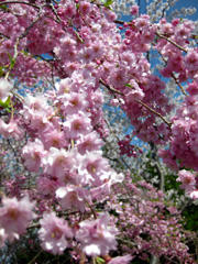2011041503.jpg