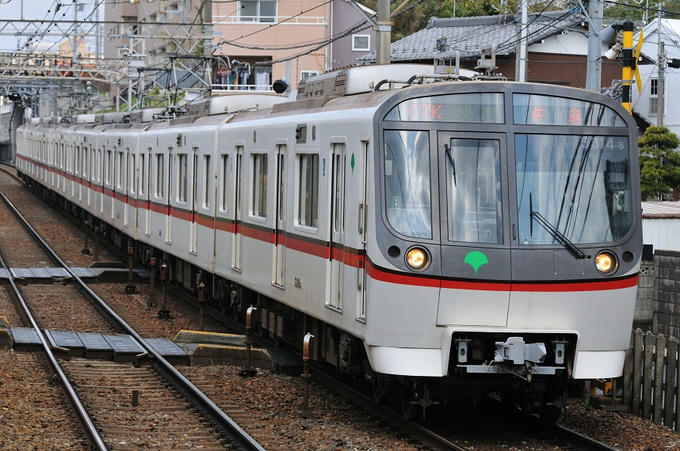 03bcf498.JPG