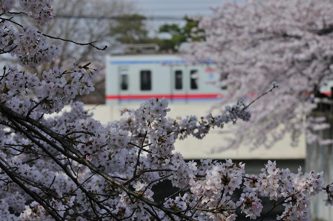 b015d60f.jpg