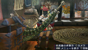 201102142.jpg
