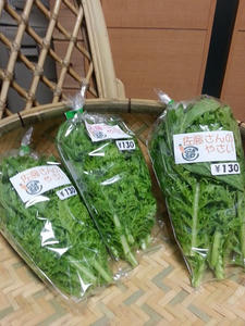 20130104_202847.jpg