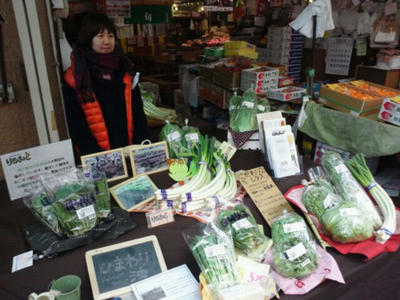 image_20130203012134.jpg