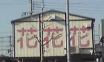 080317_1604~01.jpg