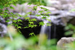 白鳥公園