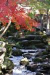 2009-11-20-2.jpg