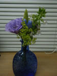 DSCF7167.JPG