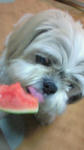 200905262308000.jpg