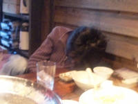 SH380011.jpg