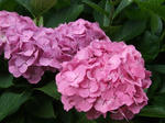 DSCF5074ko.JPG