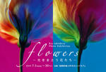 20100702104627.jpg