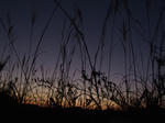 DSCF8305ko.jpg