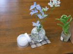 DSCF2329.JPG