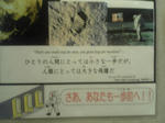 DVC00020.JPG