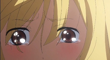 とらドラ 25話 ニート的暮らしのススメ