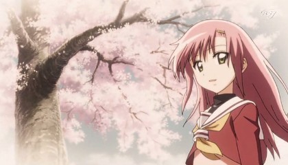 HI☆NA☆GI☆KU!