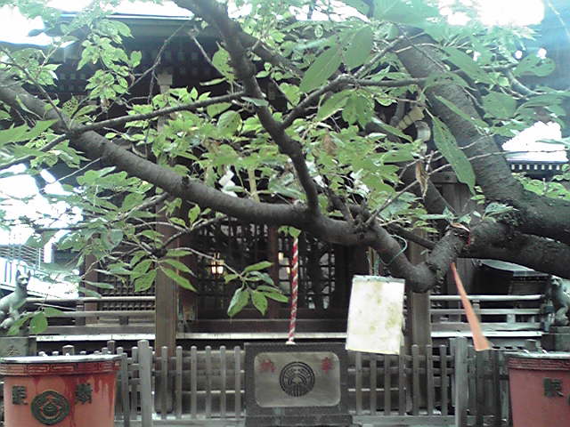 柳林神社