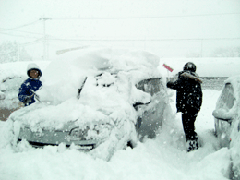 20101217.gif