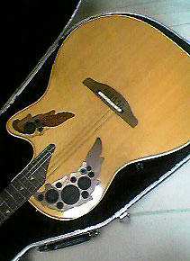 ovation.jpg