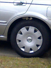 071209_1215~0001.jpg