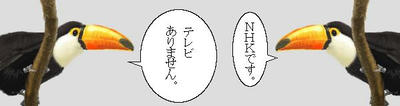 オオハシさん
