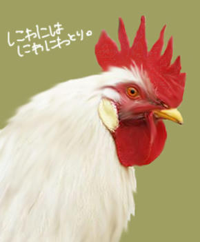 にわとりでもいちわ