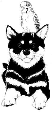 わんこといんこ