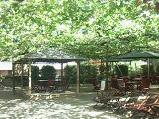 ブドウの木の下のカフェ