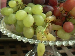 ただでも食べれる