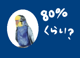 インコがゆく