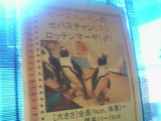 名前です