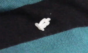 081024_1204~020001.jpg