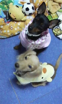 081123_1548~01.jpg