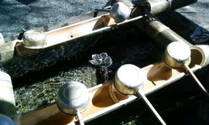 090302_1334~010001.jpg