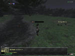 e9238084jpeg